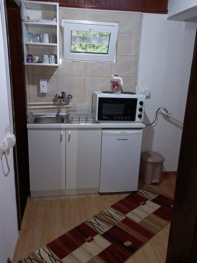 Apartment Mir