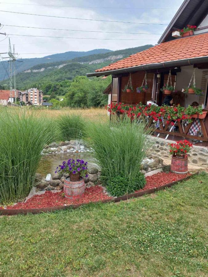 Apartament Mir